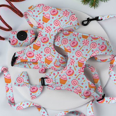 kaufen XS Hunde- und Leine-Set Sublimation Dekoration Schal Katzen- und Leine-Set Online-Herstellung