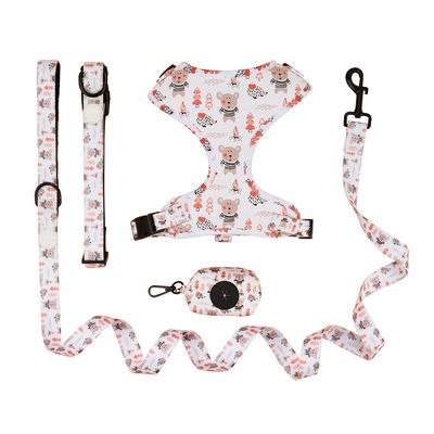 kaufen Personalisierte niedliche Hundehalsband Leads Set XL Hunde Leads für große Hunde Online-Herstellung