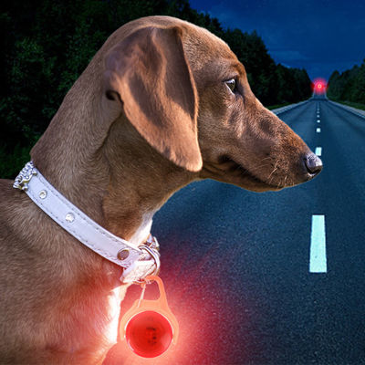 kaufen Weiß Blau Grün Silikon Blitzende Hundehalsband Floral Hunde-Identitäts-Tags Online-Herstellung