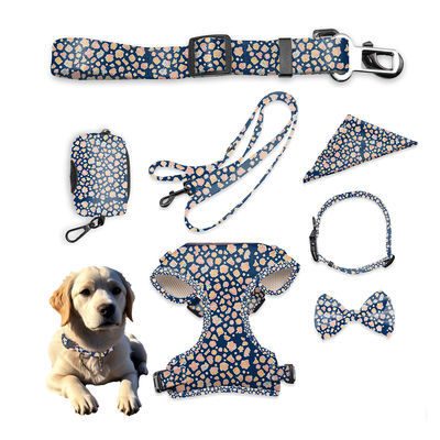 kaufen Breathable Hundehalsband und Leine Set gedruckte kundenspezifische Leine Set Online-Herstellung