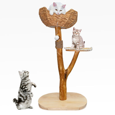 kaufen Katzenbaum Einzigartiges Design Naturholz Katzenturm Einfaches Klettern Kleine Katze Online-Herstellung