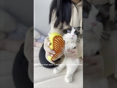 Haustierpflege-Dampferbürste Hunde-Katte-Haarentfernung-Bürste Wiederaufladbare tragbare Dampfspray