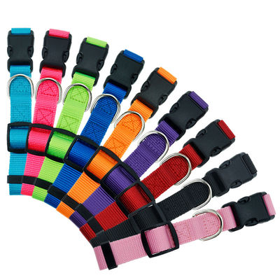 Nylon Hundehalsband sicher Komfortabel Haustiermanagement mehrere Farben benutzerdefiniert