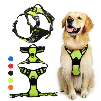 Neopren reflektierender Hundegurt ohne Kragen und Leine