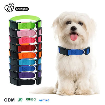 Hundehalsband und Halsband