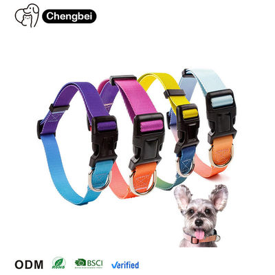 Hundehalsband Luxus-Gradiale verstellbar, umkehrbar, solide, benutzerdefiniertes Logo, personalisiert