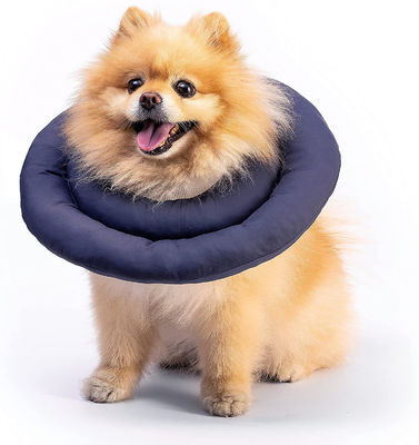 Hundehalsband Wasserdicht mit individuellem Logo Druckmuster