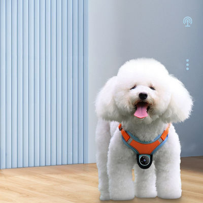 Mini-Magnetische Daumen-Action-Kamera Video-Aufnahme drahtlose Hunde-Kamera Gurt