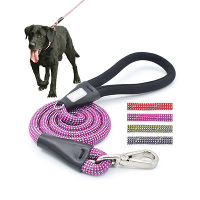 Purpurfarbene Hundeschleifleine Farbiger Haustierlaufen Laufend Nylon-Slip Blei Doppelseil