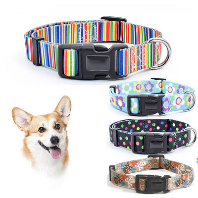 Anpassungsfähiger, verstellbarer taktischer Hundehalsband und Leine