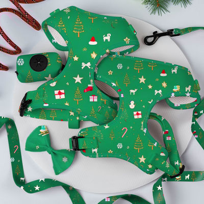 Populärer kundenspezifischer Designer Luxus ohne Ziehen verstellbarer Kragenleine Bogenfliege und Bandana umkehrbarer Hunde-Gurt Set