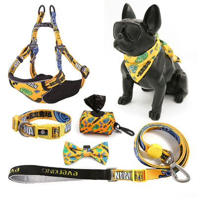 Hunde Polyester Custom Sublimation Blank Personalisiertes Haustier Halsband und Leine Gurt Set Custom Logo Sommer Hunde Gurt Designs