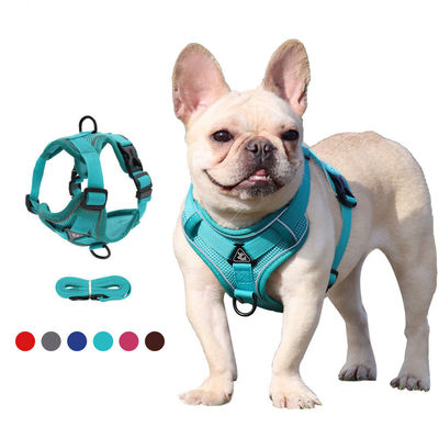 Polyester-Reflexionsweste 1,5 m Traktionsleine Blauer Hundegurt