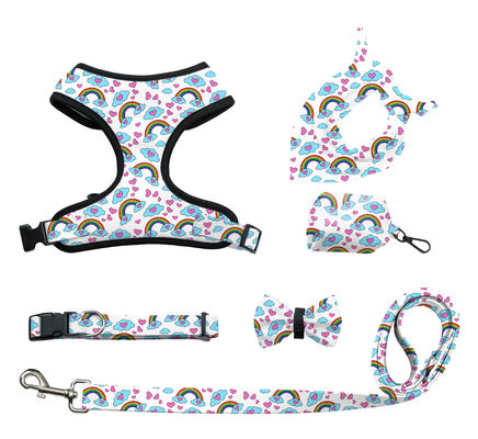 Personalisierte Hunde- und Katzenharness-Sets verstellbar ohne Zug Luxus Designer Kragen und Leinen mit individuellen Farben
