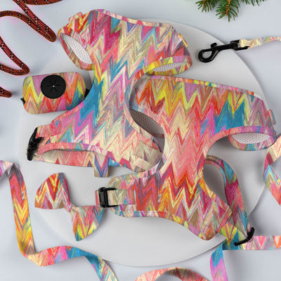 Neopren-Custom-Farb-Hund-Sharness-Sets mit Luxus-Designer-Metall-Schnalle Leine und Kragen