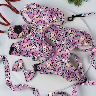 Verstellbares Luxus-Neopren-Gitter weiches Haustier-Hundengurt-Set mit personalisierter Custom-Logo-Leine und OEM/ODM akzeptiert