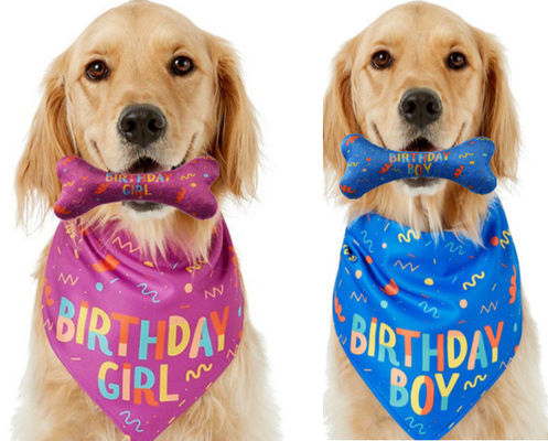 Hund Geburtstag Vorrat Gelegenheit Bandana Knochen kauen Spielzeug Set Pet Custom gedruckte Bandanas